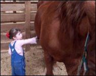 children & horse10.jpg
