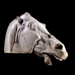 Head of the horse of Selene from the east pediment of the Parthenon.jpg
