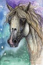 balon-polish-arabian-horse-portrait-4-angel-tarantella.jpg