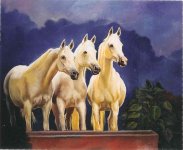 3 White Arab Horses.jpg