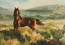 Wild_horse_Painting.jpg