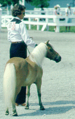 MINI1.GIF
