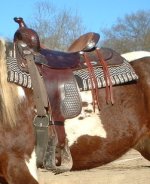 saddle3.jpg
