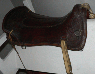 horse163.gif