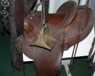 horse164.gif