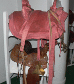 horse165.gif