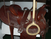 horse166.gif