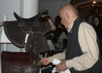 horse167.gif