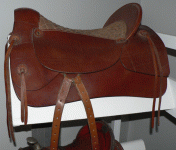 horse168.gif