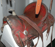 horse170.gif