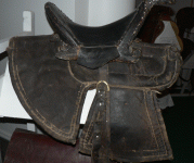 horse171.gif
