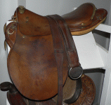 horse175.gif