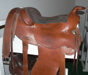 horse155.gif