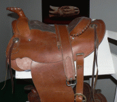horse113.gif