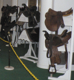 horse124.gif