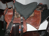 horse176.gif