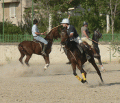 horse108.gif