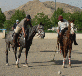 horse110.gif