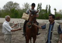 horse70.gif