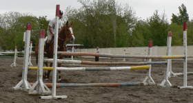 horse74.gif