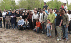 horse208.gif