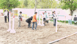 horse209.gif