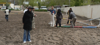 horse214.gif