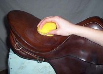 cleansaddle4.jpg