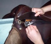 cleansaddle5.jpg