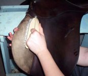cleansaddle8.jpg