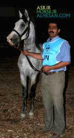 ISFIHAN24.gif