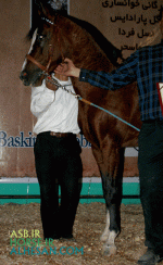 ISFIHAN25.gif
