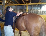 saddlefitting107.jpg
