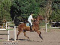 DSC07060.jpg