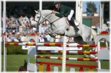 Web more horse jumping.jpg