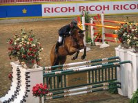 horse-jumping-flickr-andrew-mac-dowell.jpg