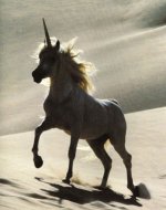 unicorn2.jpg