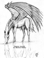 Pegasus6.jpg