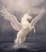 pegasus_rising.jpg