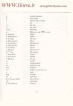 mrezap2002@yahoo.com asil Horse0005.jpg