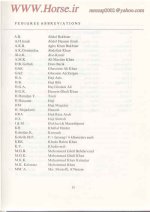 mrezap2002@yahoo.com asil Horse0007.jpg