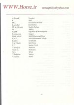 mrezap2002@yahoo.com asil Horse0008.jpg