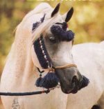 Asfour_wool%20halter-medium.jpg