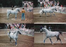 Simeon%20Open%20Day_Asfour_Madaar-large.jpg