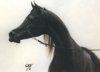 simeon-sadik.jpg