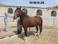 IMG_2051.gif