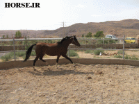 IMG_2054.gif