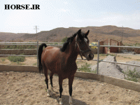 IMG_2055.gif