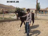 IMG_2056.gif