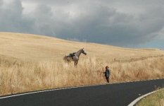 Almila_ne_veut_pas_retourner_sur_la_route__.jpg